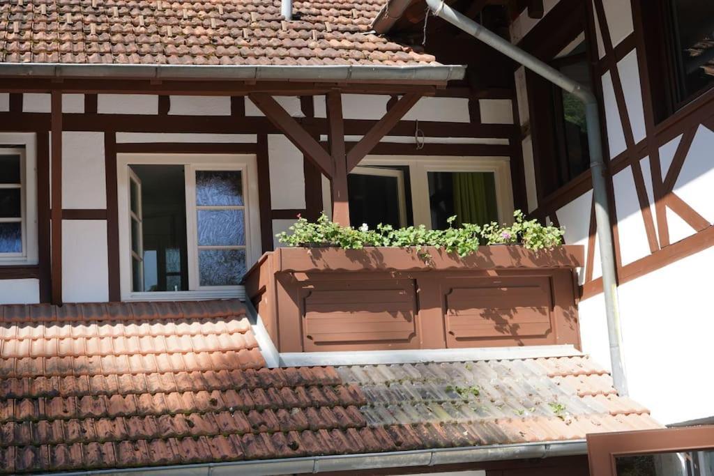 Haus Nilson Apartment Генгенбах Екстериор снимка