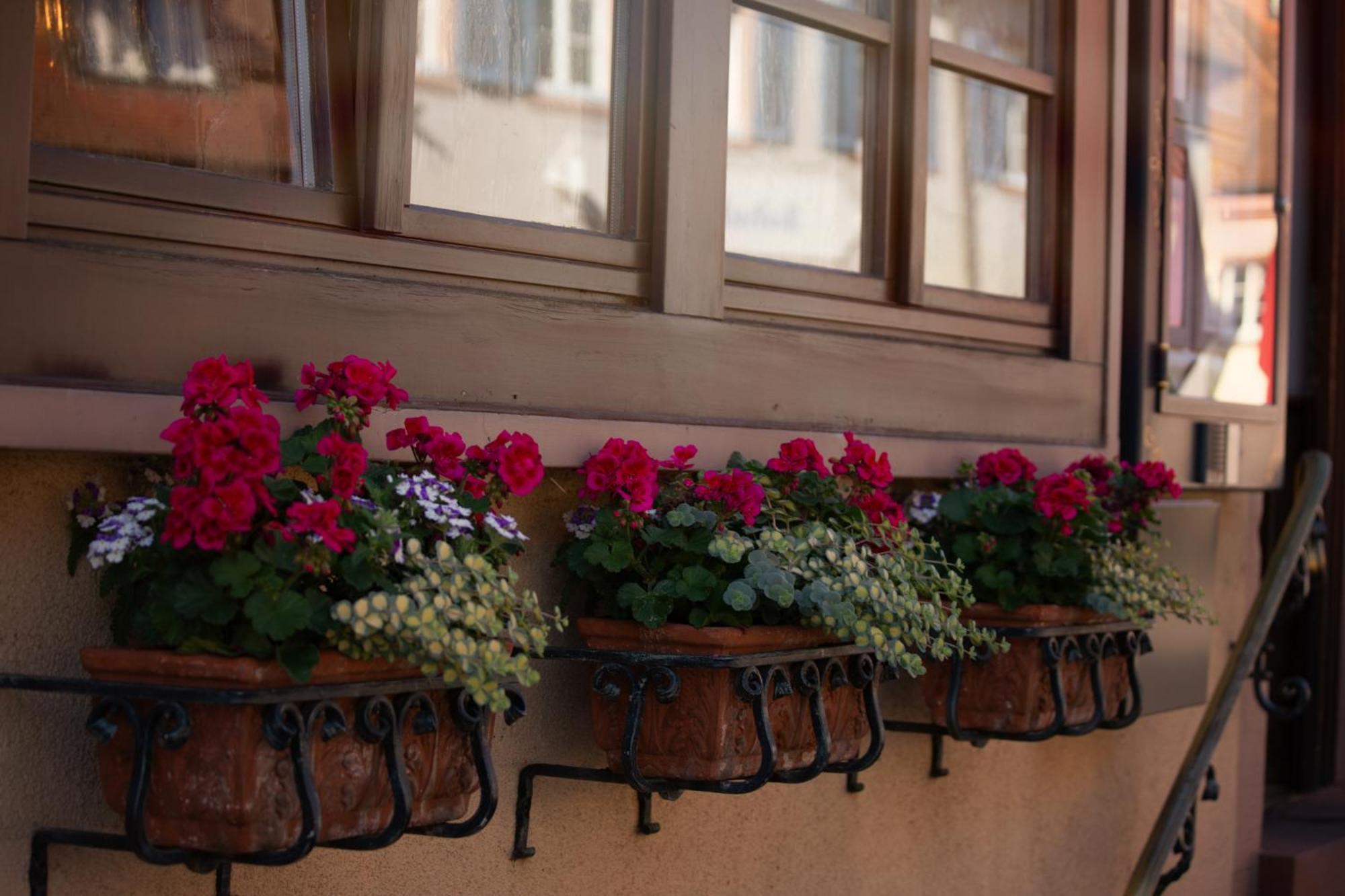 Haus Nilson Apartment Генгенбах Екстериор снимка